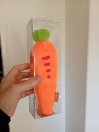 Astuccio carota porta matite