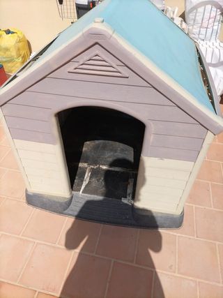 Caseta perro azul y gris