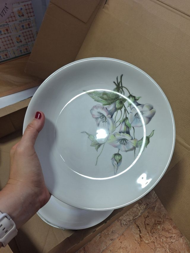 Vajilla Royal China completa