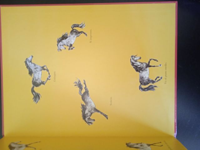 Il compleanno di Ballerino. Ballerino piccolo c...