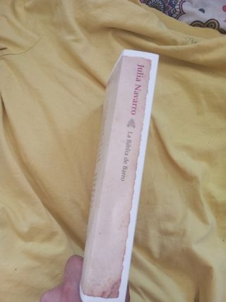 BIBLIA DE BARRO - julia navarro