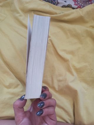 BIBLIA DE BARRO - julia navarro