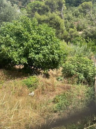 Terreno en venta en La Cogullada en Terrassa