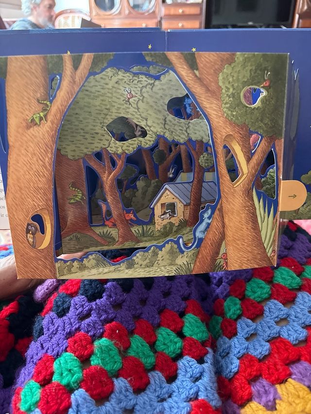 Una noche en el bosque (Spanish Edition)