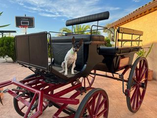 Carro de caballos Jardinera, charre, enganche.