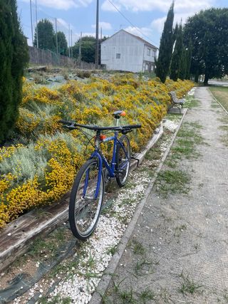 Bicicleta Vivanti MTB 126x