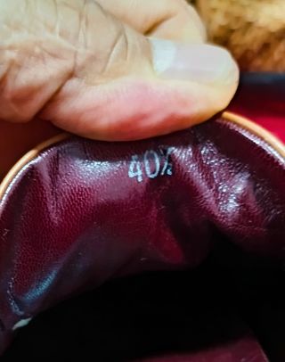 Zapatos Tod's piel serpiente