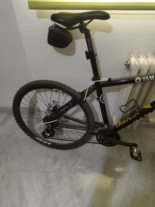 Bicicleta de montaña.