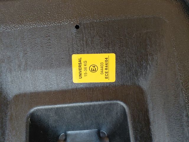 Alleva i bambini delle tartarughe ninja