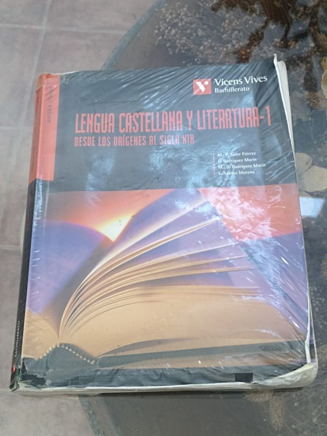 Lengua Castellana Y Literatura 1.origenes Al S....