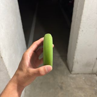 Scooter Oxelo