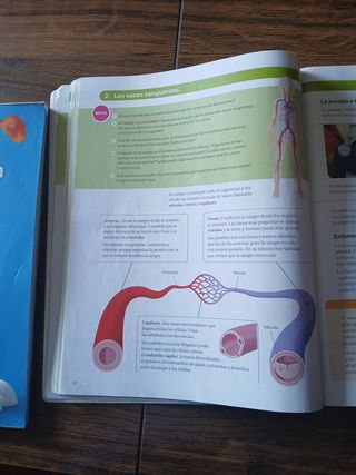 BIOLOGIA Y GEOLOGIA 3 ESO CONSTRUYENDO MUNDOS