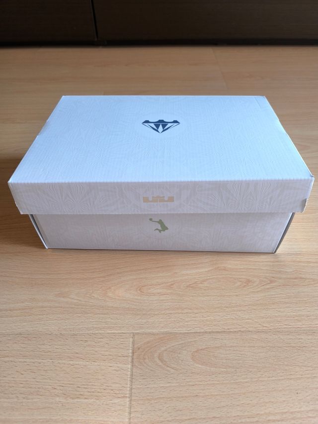 Zapatillas Nike LeBron 22 coloridas