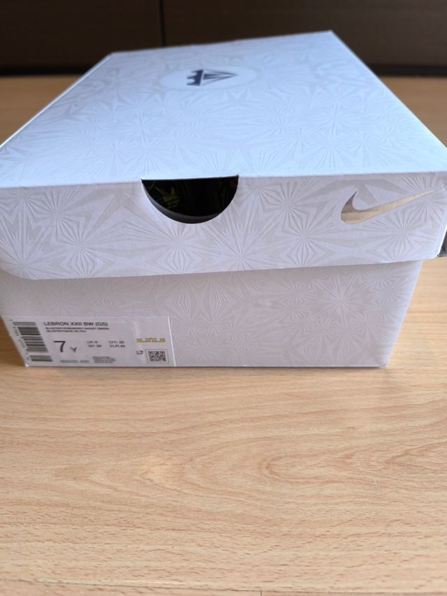 Zapatillas Nike LeBron 22 coloridas