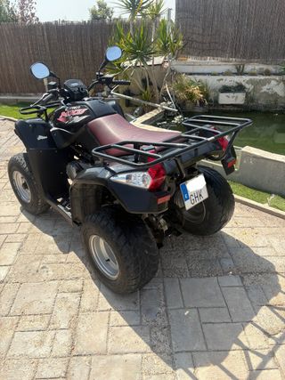 KYMKO MXU 250 2008