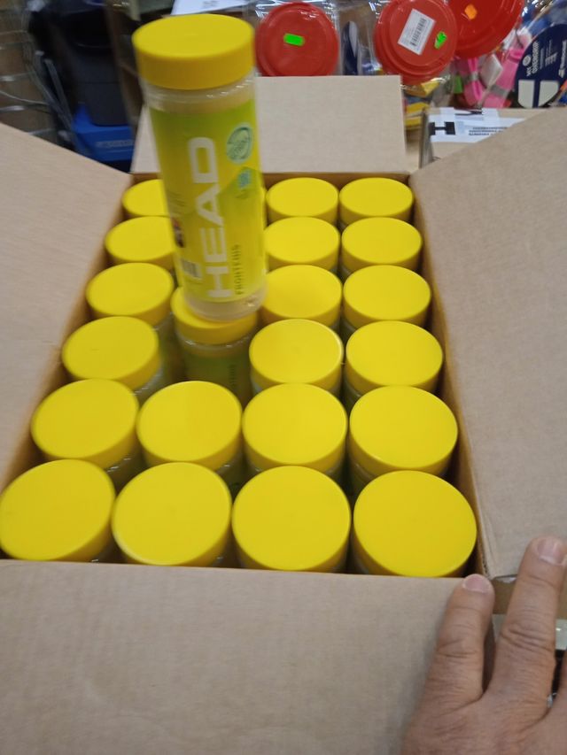 Cajón 24 botes Frontenis HEAD