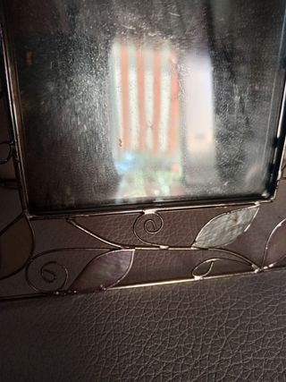 Cornice vetro-metallo foglie