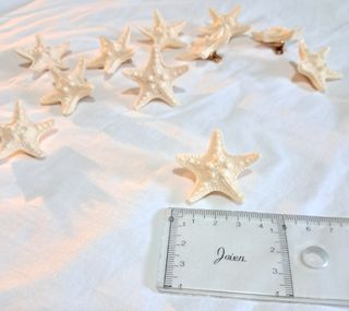10 Pinzas Estrellas de Mar Beige