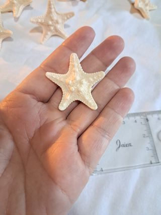 10 Pinzas Estrellas de Mar Beige