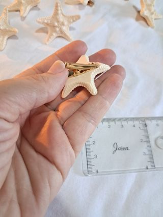 10 Pinzas Estrellas de Mar Beige