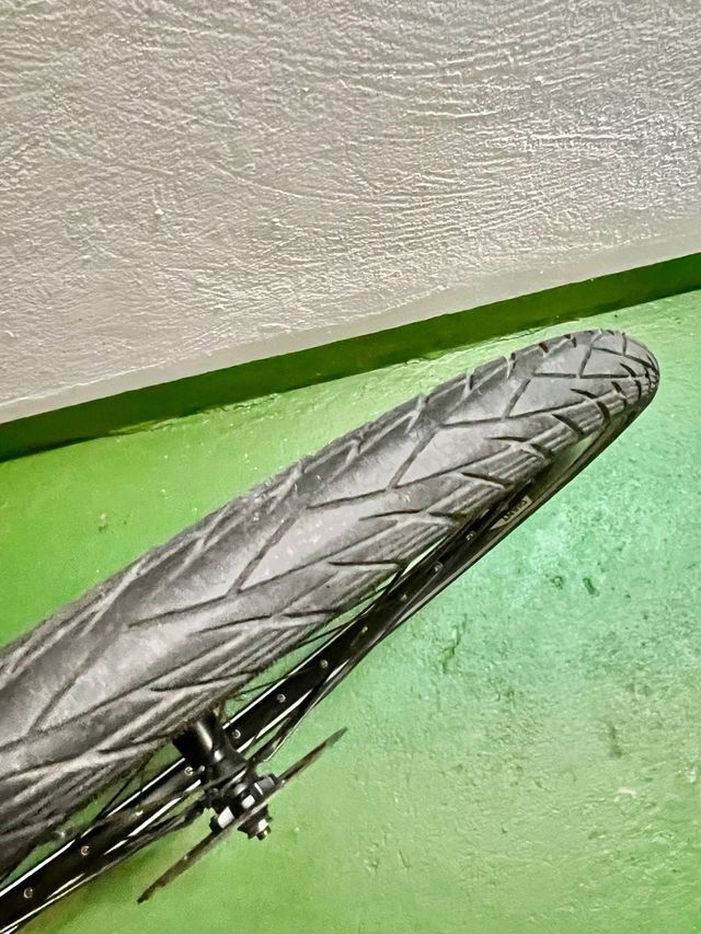 Dos Ruedas bicicleta Giant