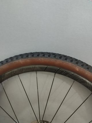Ruedas Mavic Crossmax Carbon