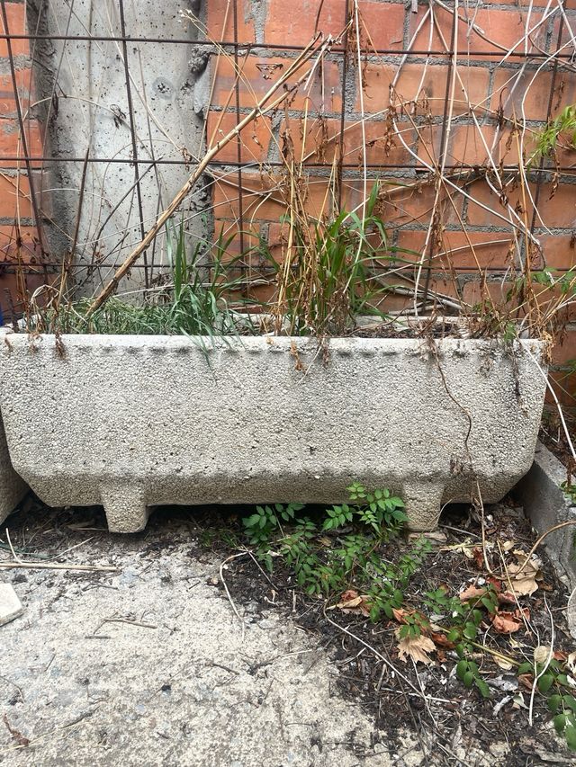 Macetas piedra antigua - Decorativas