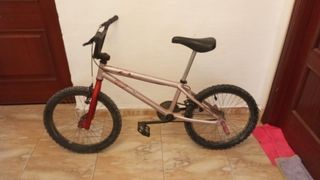 Bicicleta XUP con posapies y en perfecto estado 