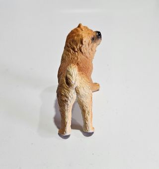 Perro Chow Chow