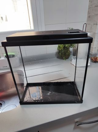 Acuario pequeño -pecera-