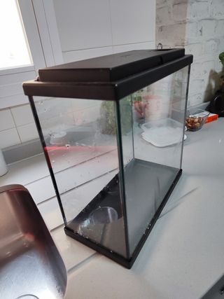 Acuario pequeño -pecera-
