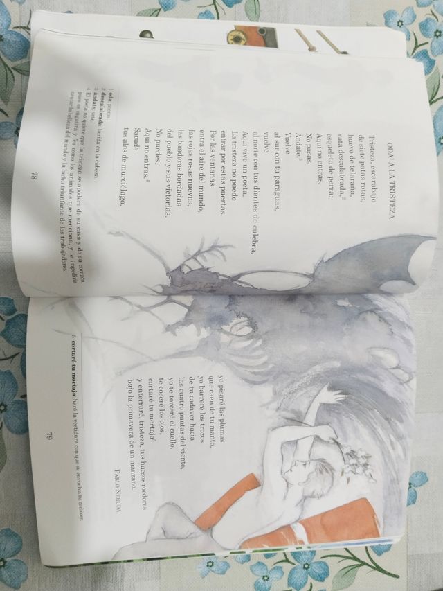 La Rosa de los Vientos