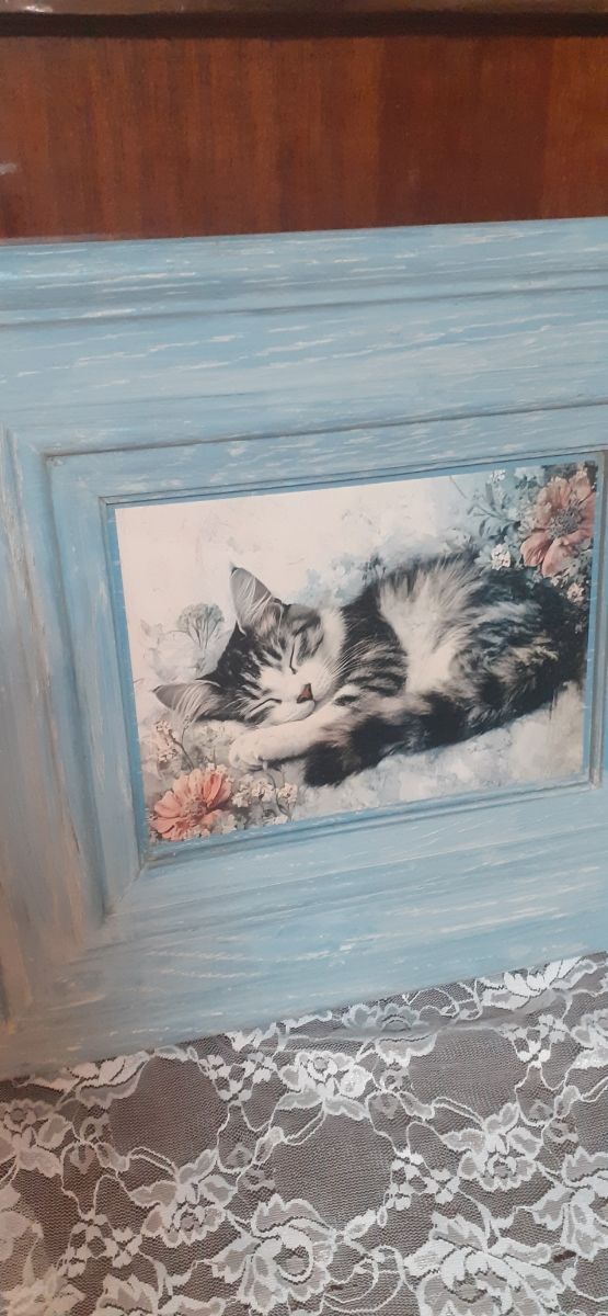 3 Quadri gatti - Decorazione