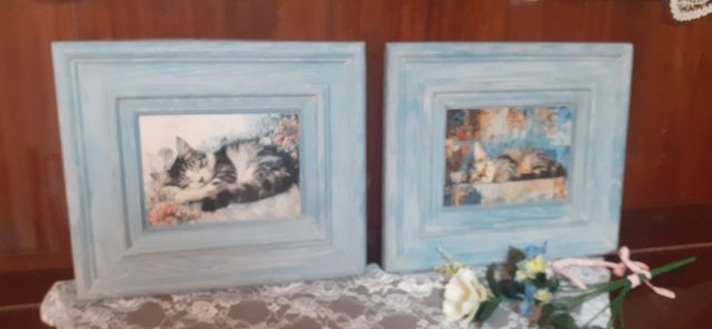 3 Quadri gatti - Decorazione
