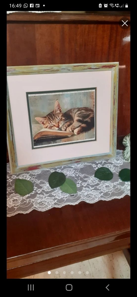 3 Quadri gatti - Decorazione