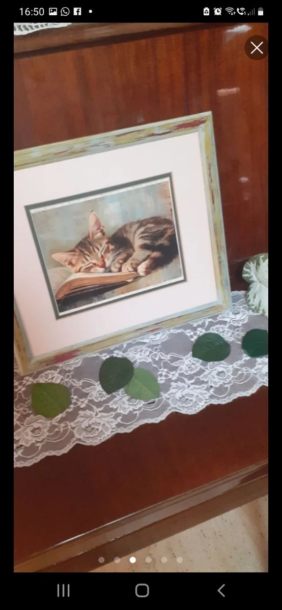 3 Quadri gatti - Decorazione