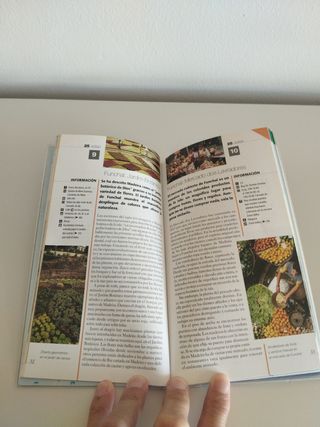 Guía CITYPACK MADEIRA 2007 (Spanish Edition)