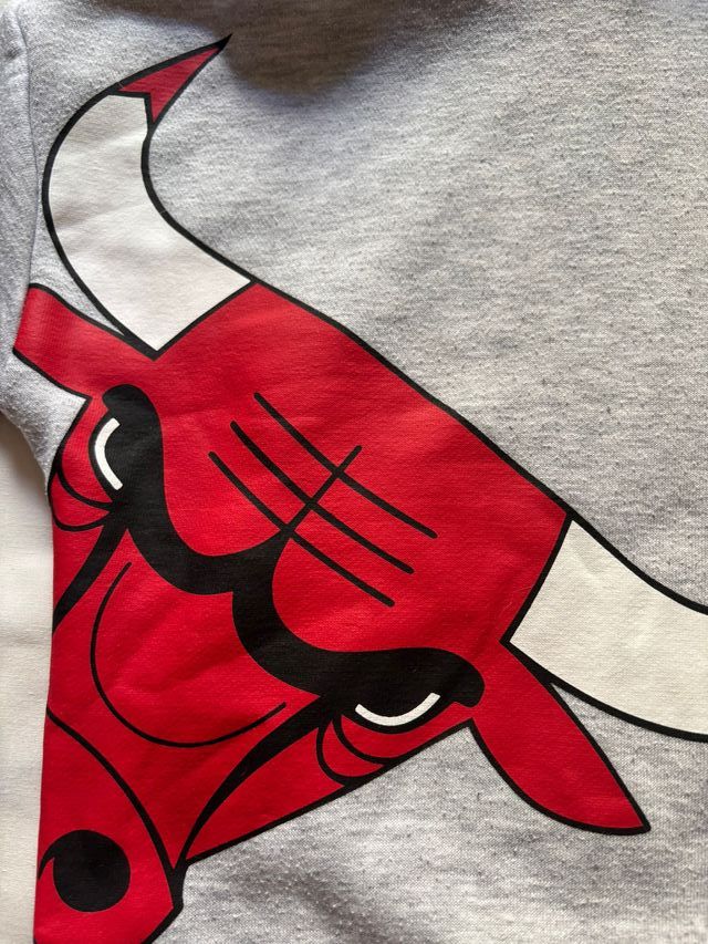 Sudadera Chicago Bulls Niño