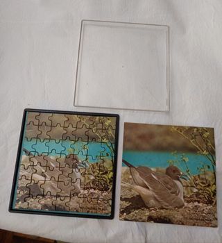 Puzzle Magnético Golondrina 49 piezas