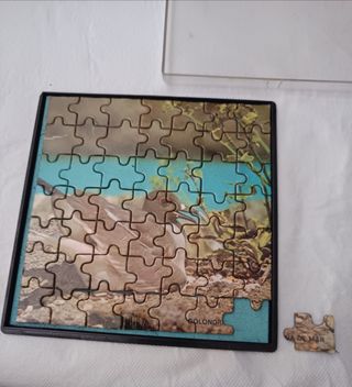 Puzzle Magnético Golondrina 49 piezas