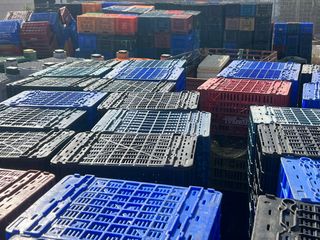 Cajas plástico agrícolas