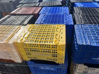 Cajas plástico agrícolas