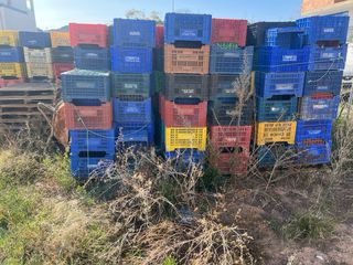 Cajas plástico agrícolas