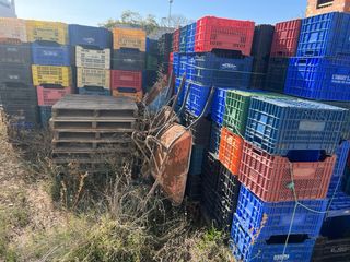 Cajas plástico agrícolas