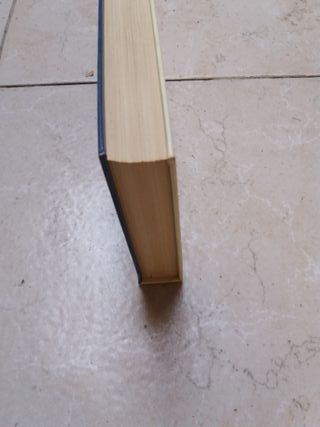 l'atlante dei funghi di giuseppe pace €4
