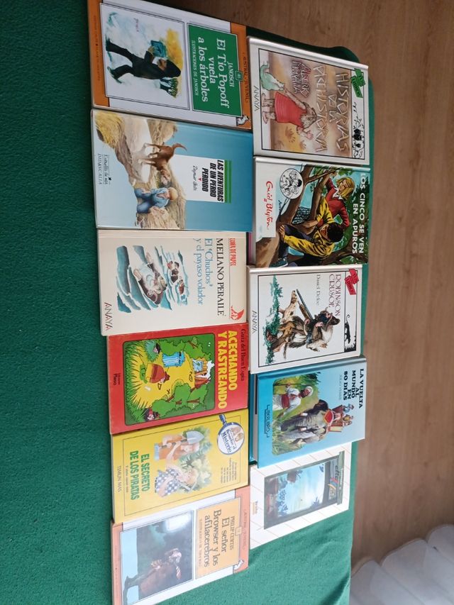 Lote 9 libros clásicos e infantiles