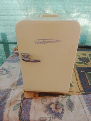 Nevera portátil FRIDGEMASTER FM-15-AC-230