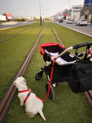 Bugaboo Fox rojo-negro