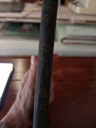 Primavera Mortal. Libro antiguo. Novela