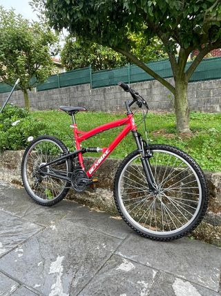 Bicicleta de montaña